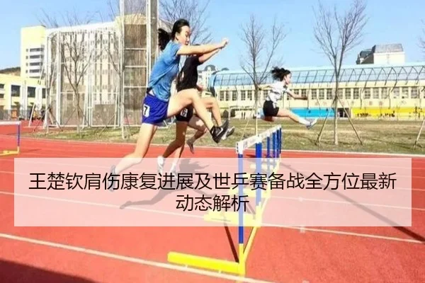 王楚钦肩伤康复进展及世乒赛备战全方位最新动态解析